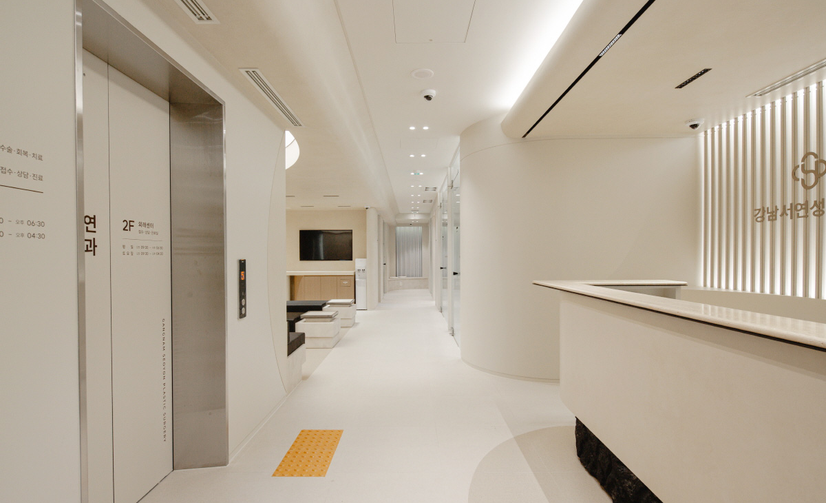 Gangnam Seoyeon Plastic Surgery - Ảnh 1