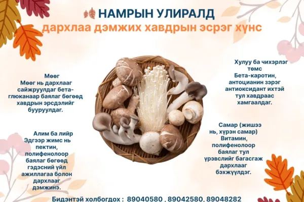 🍂 Намрын улирал – Дархлаа дэмжих, хавдраас сэргийлэх супер хүнсүүд!